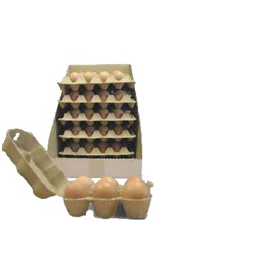 Oeuf vrac sol & boites vides x120